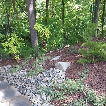 بيست * زاكوباني